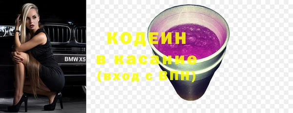 шишки Гусиноозёрск
