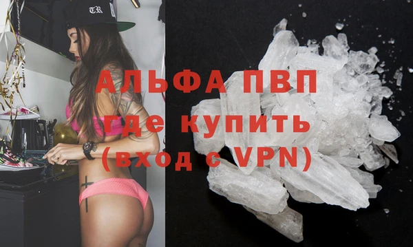 стафф Алексин