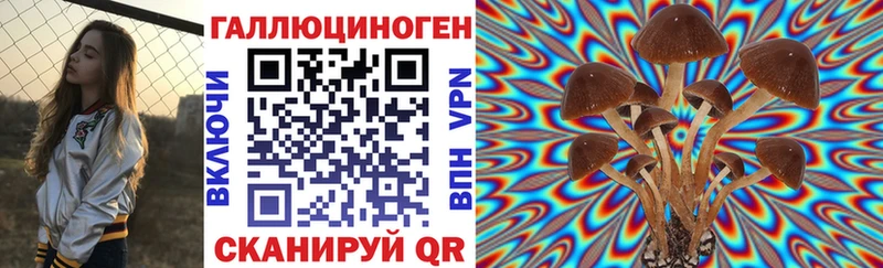 купить  цена  Южно-Сухокумск  Галлюциногенные грибы MAGIC MUSHROOMS 